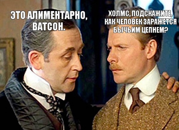 Шерлок Холмс и Ватсон