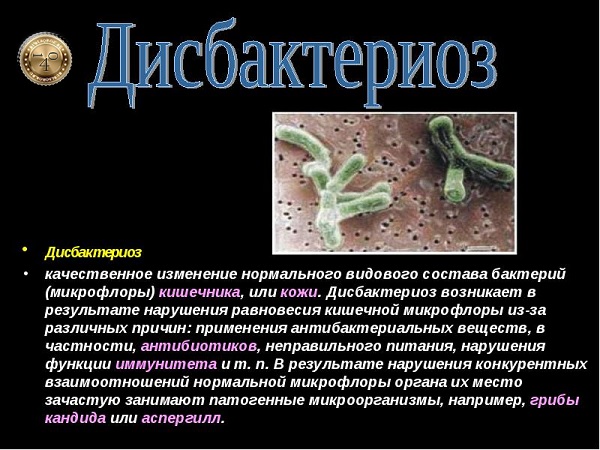 дисбактериоз кишечника