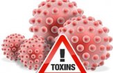 Как почистить кровь от токсинов народными средствами быстро и качественно
