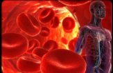 Профилактика артериальной гипертензии спасет вам жизнь