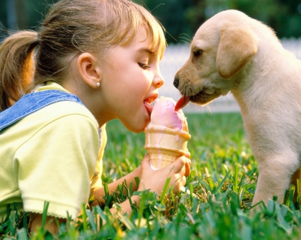 Девочка ест мороженое вместе с собакой