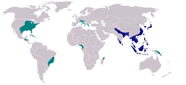 Карта распространения вруса Зика