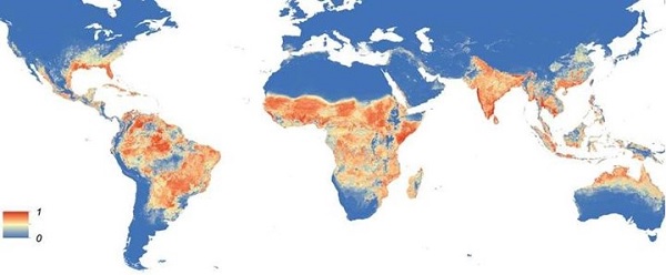 Карта регионов распространения лихорадки Зика
