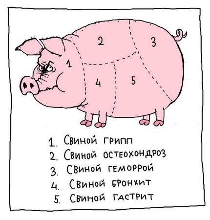 Виды свиных болезней