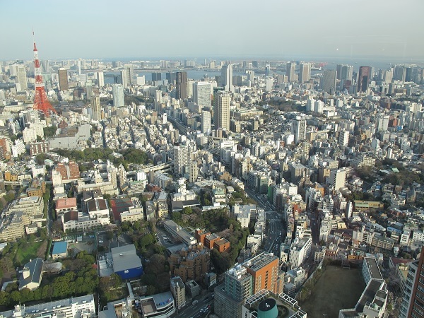 Вид на Токио с вертолетной площадки