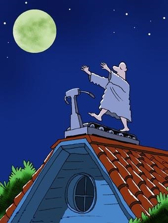 Лунатик на крыше дома
