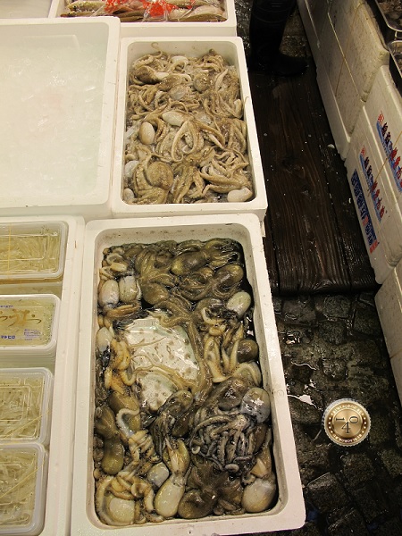 Кальмары и каракатицы на рыбном рынке в Токио