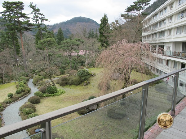 Вид на окрестности отеля в Хаконе