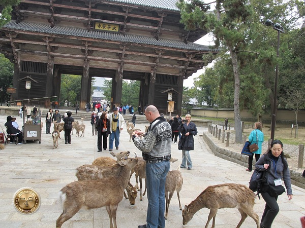 Южные Ворота храма Тодайдзи г. Нара 