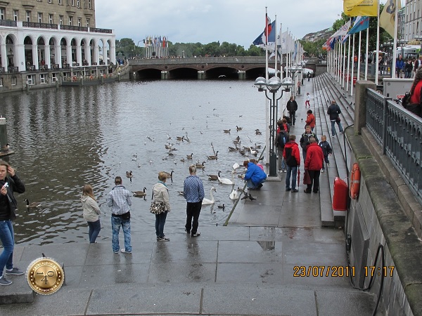 Лебеди у набережной Гамбурга