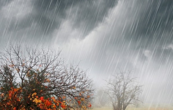 Осень и дождь