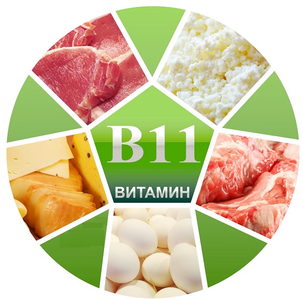 Продукты содержащие витамин В11