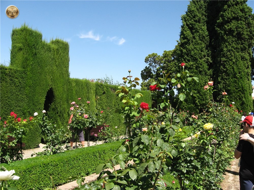 Сады Хенералифе в Альгамбре, Гранада